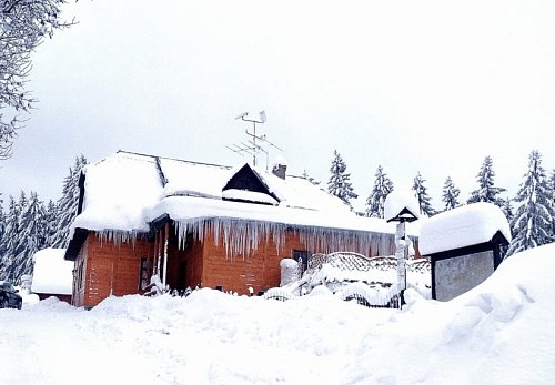 Společenské a venkovní prostory