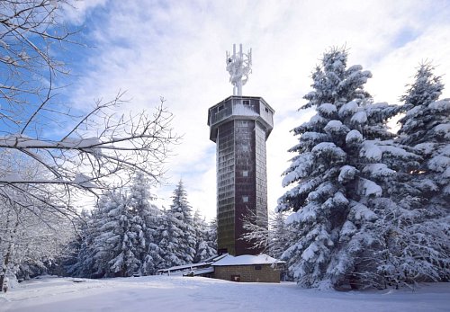 Společenské a venkovní prostory