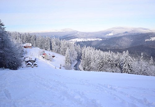 Společenské a venkovní prostory