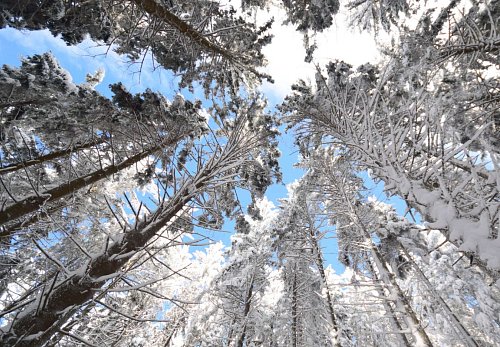 Společenské a venkovní prostory